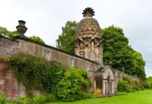 品牌如何优雅地告诉消费者,我们的产品降价了-2Cweekly#019