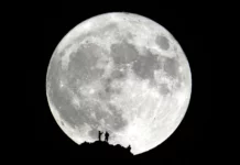 四大时装周 24 SS日程及看点-2Cweekly#024 blue supermoon from piestewa peak