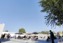 为什么小黑裙又开始火起来了?-2Cweekly#031 2cweekly-031-cover